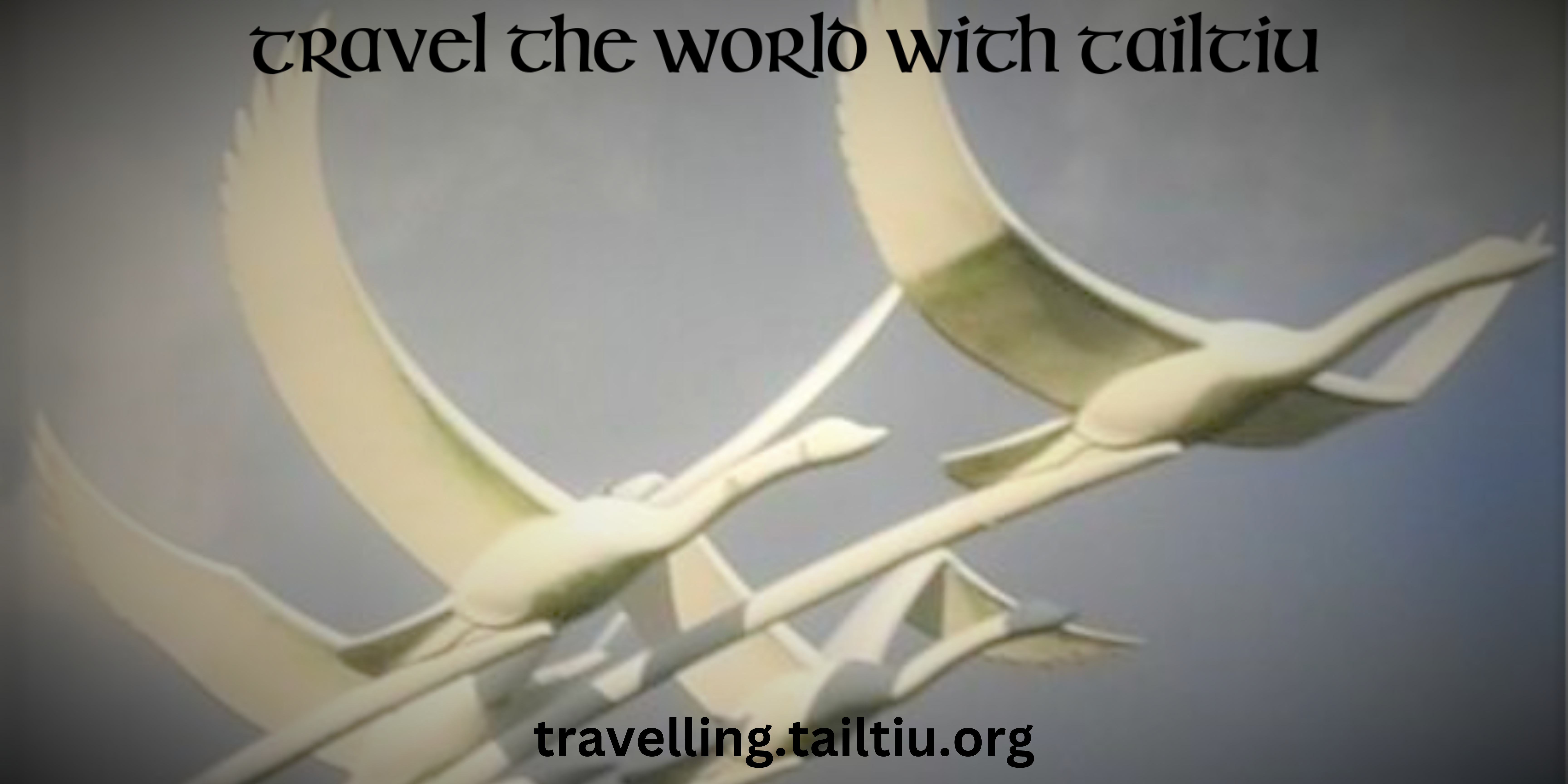 Travel the world with Tailtiu Travel the world with Tailtiu